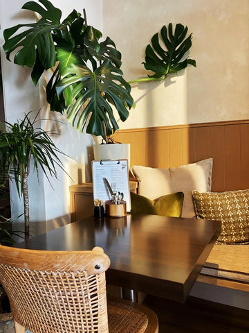A cozy indoor dining nook in a vegan cafe in Hull with a dark wood table, woven chair, cushioned bench, and large green monstera plants against a cream and wood-paneled wall 
